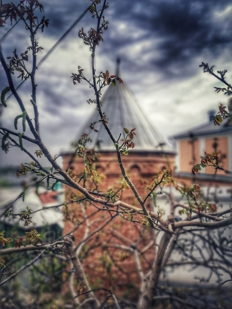 Photograph by Гладнева Ирина