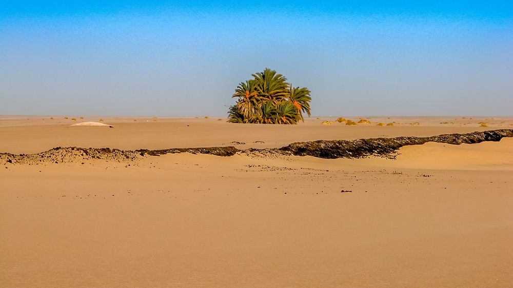 Photograph by Farrukh Sidddiqi