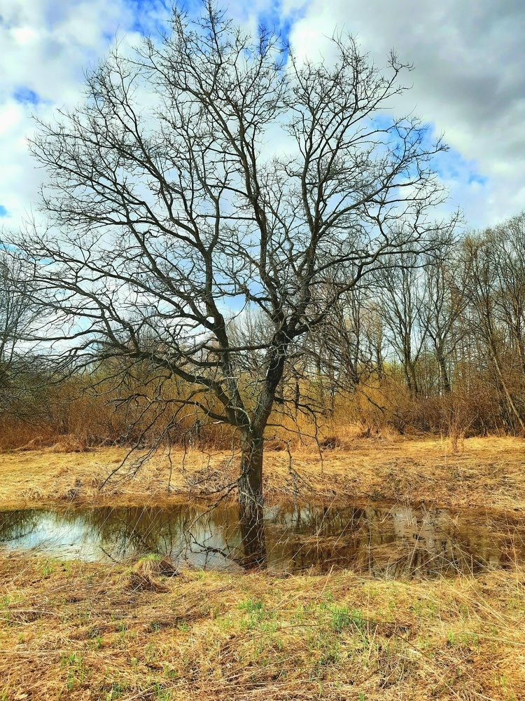 Photograph by Екатерина