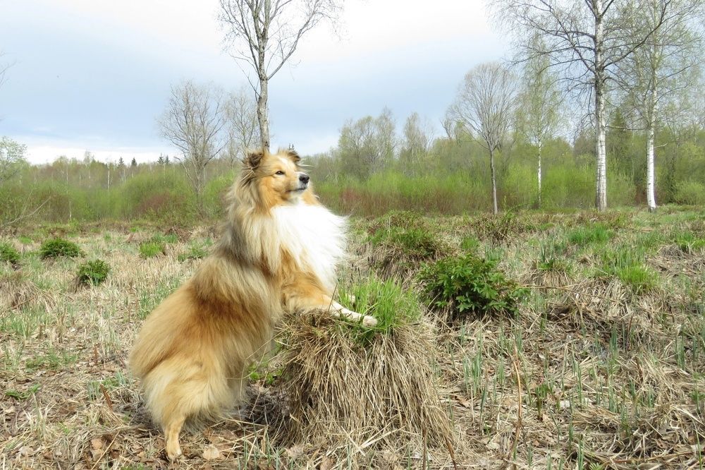 Photograph by Валерия Яскович