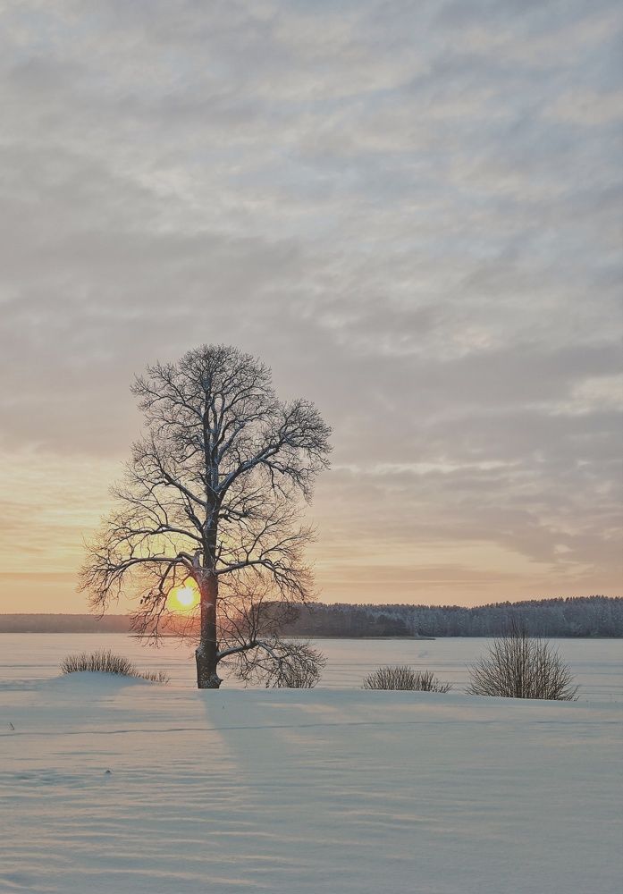 Photograph by Олеся Зеленщикова