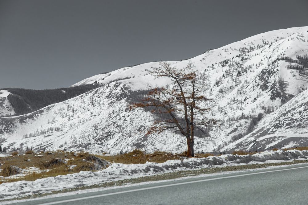 Photograph by Елена Павлова