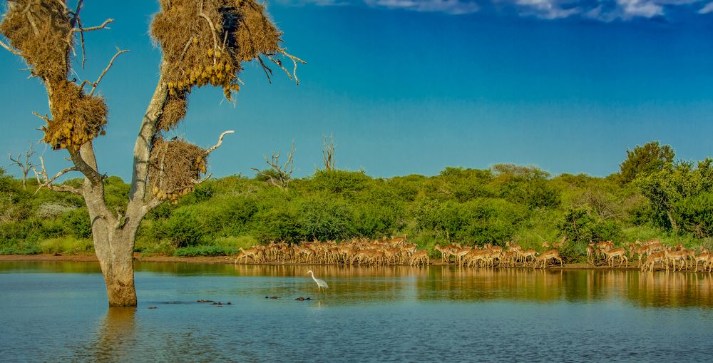 Photograph by Farrukh Sidddiqi