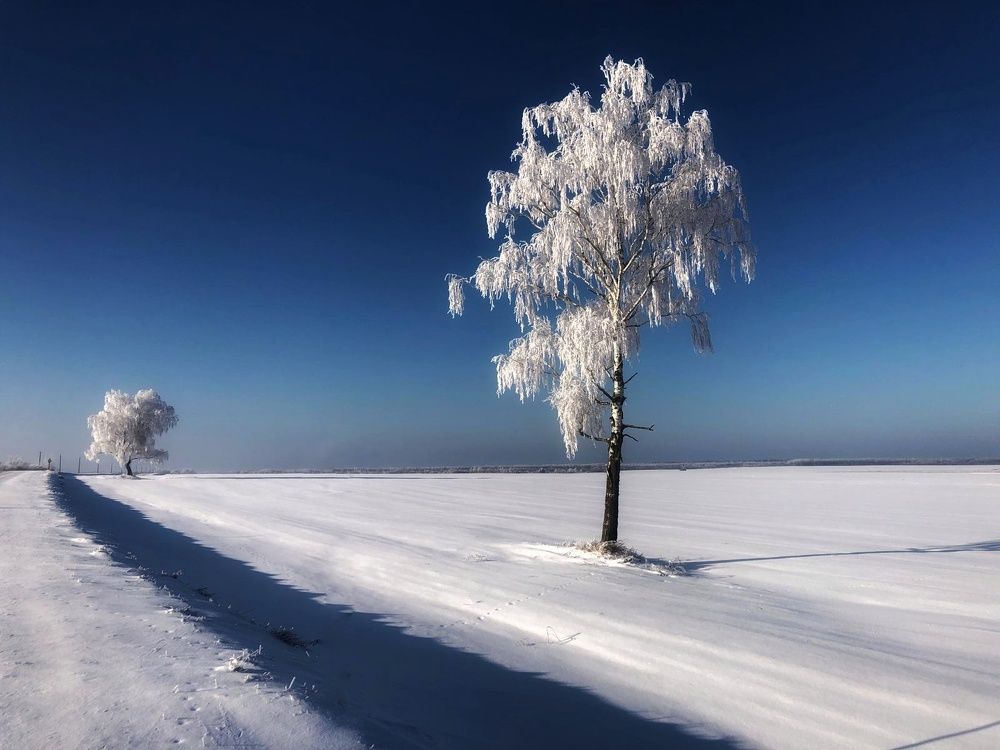 Фотография автора Мария Рудаковская