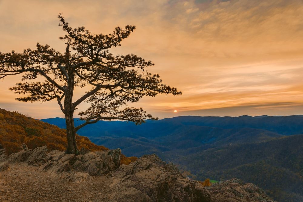 Photograph by Lisa Watkins