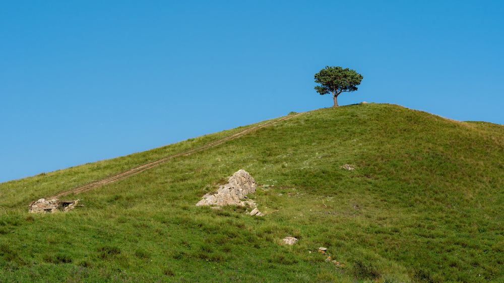 Photograph by Сергей Серушкин