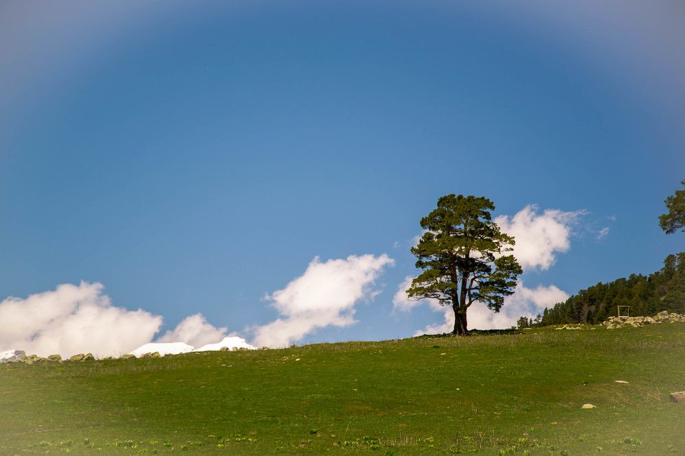 Photograph by Епишев Андрей