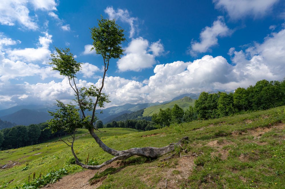 Photograph by Сергей Серушкин