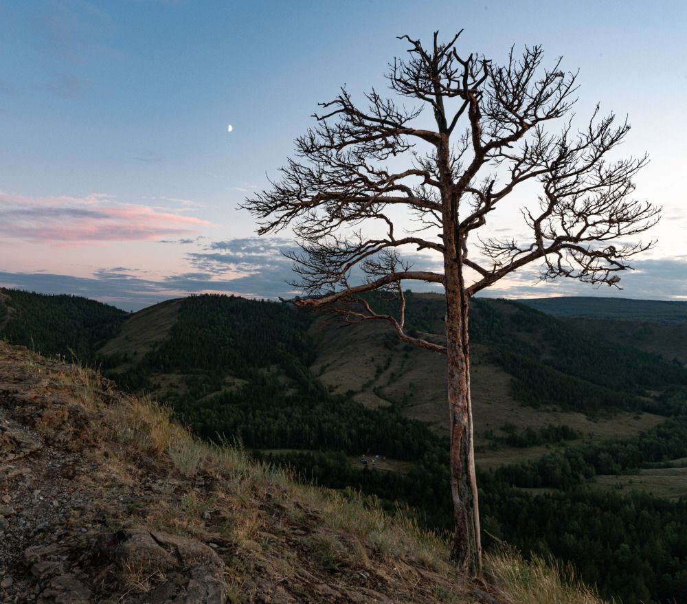 Photograph by Максим Ватрушкин