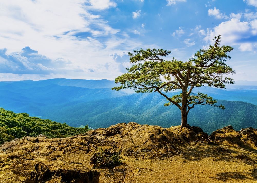 Photograph by Lisa Watkins