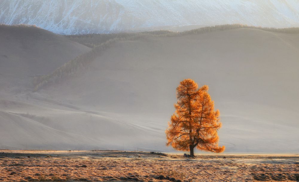Photograph by Галина Хвостенко