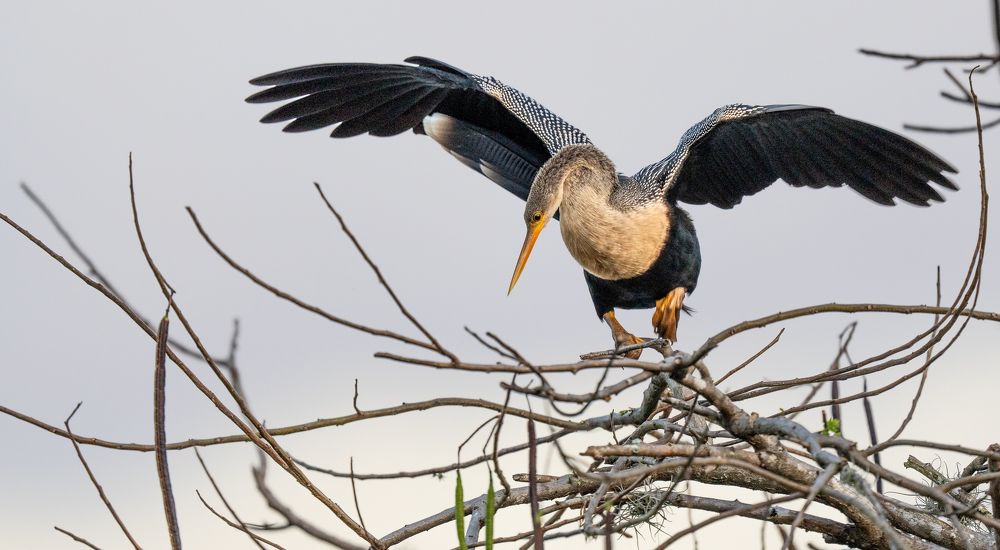 Photograph by Alberto Camardiel