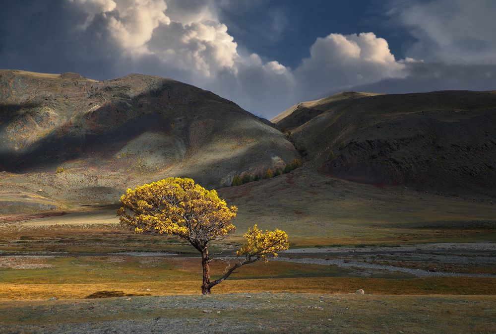 Photograph by Галина Хвостенко