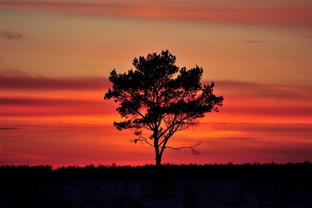 Photograph by Юрий Яковлев