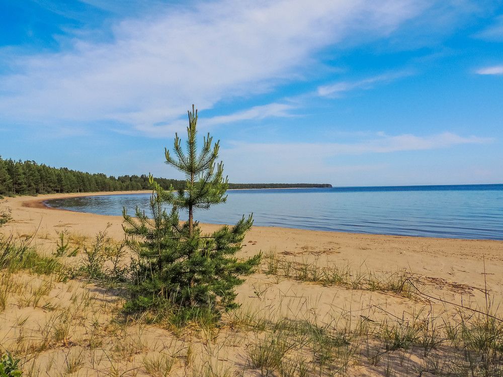 Photograph by Епишев Андрей