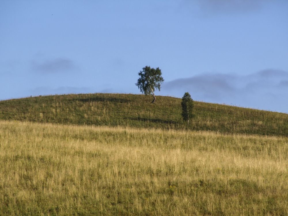 Photograph by Александр Журавлев