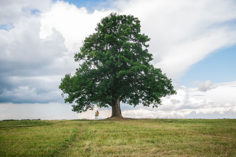 Photograph by Евгений Ермаков