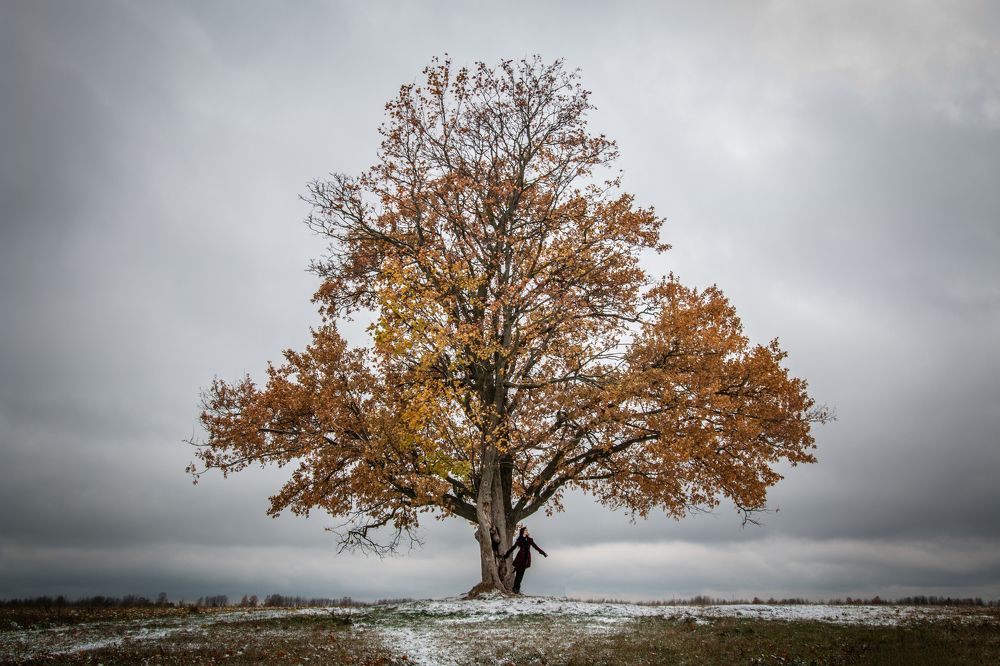 Photograph by Евгений Ермаков