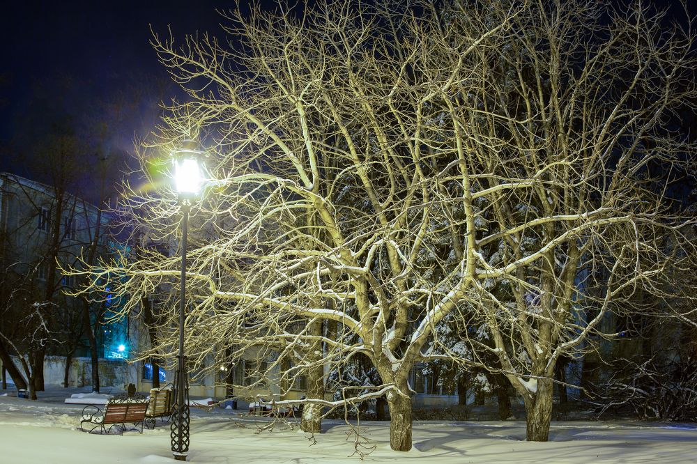 Ночь, улица, фонарь.