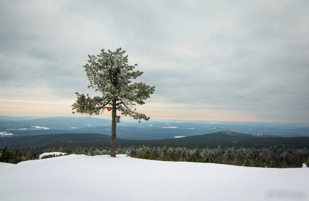 Photograph by Максим Ватрушкин