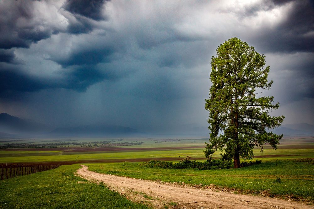 Photograph by Людмила Аксенова