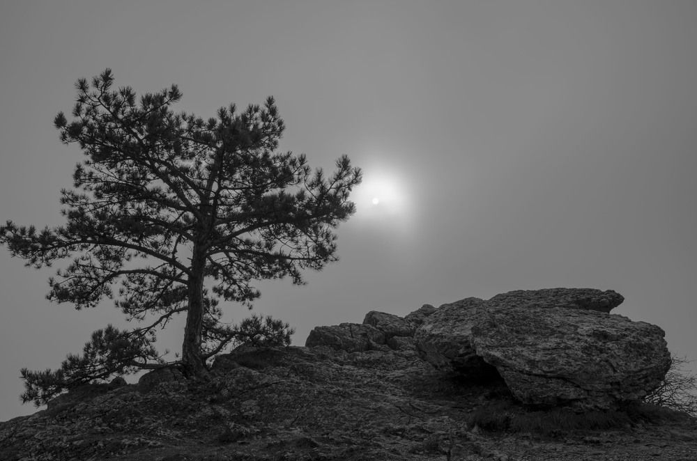 Photograph by Юрий Юрченко