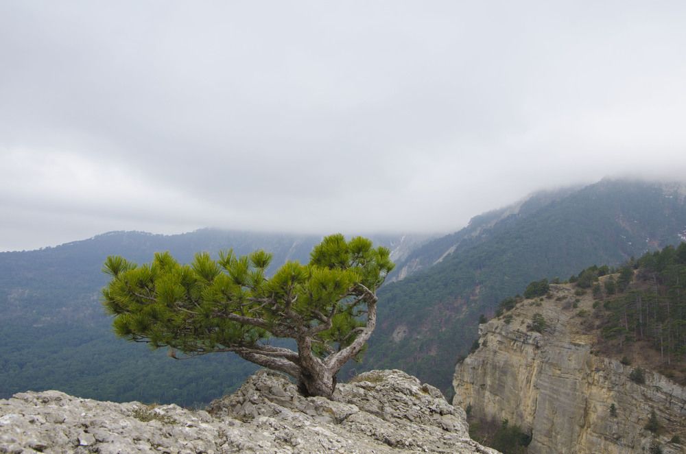 Photograph by Юрий Юрченко