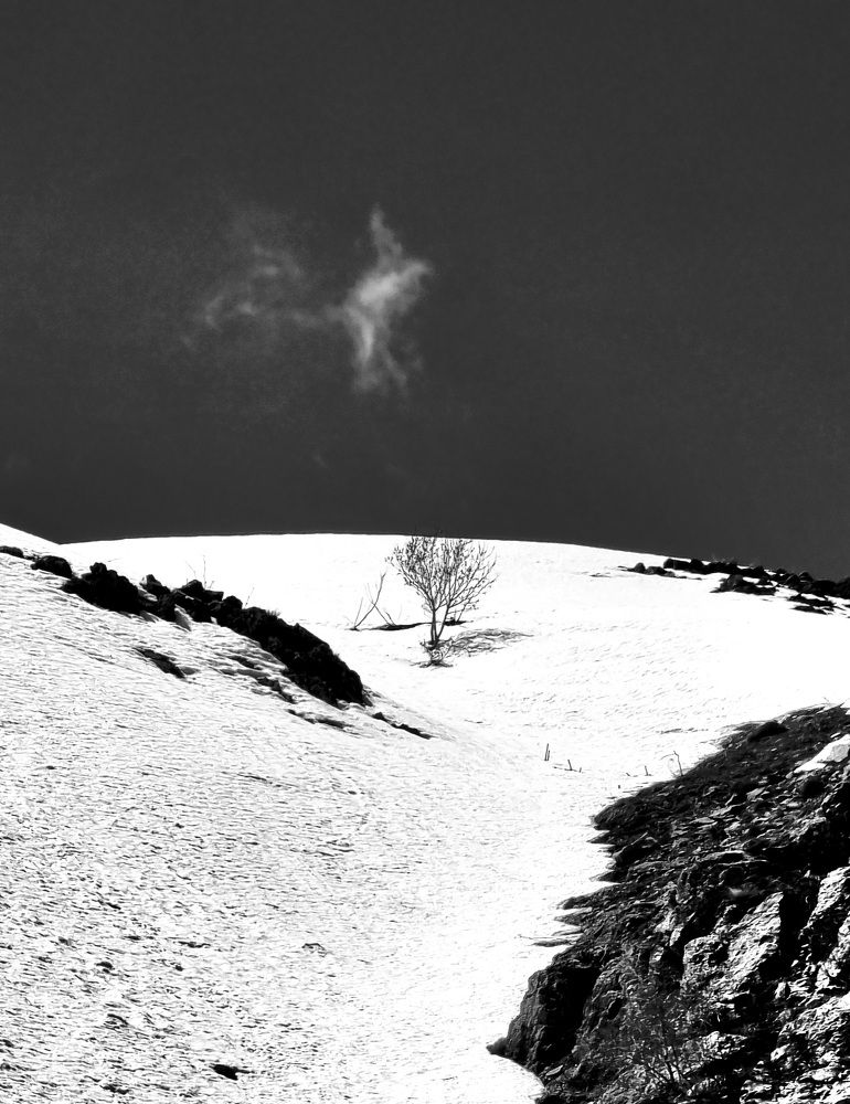 Photograph by Sam Esfahani