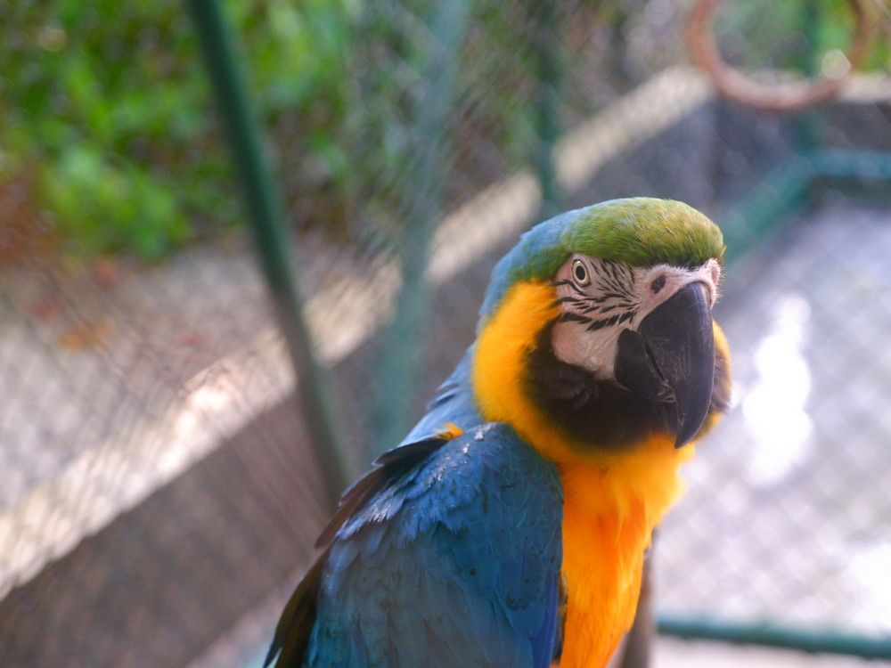 Photograph by Bassem Ahmed Khallaf