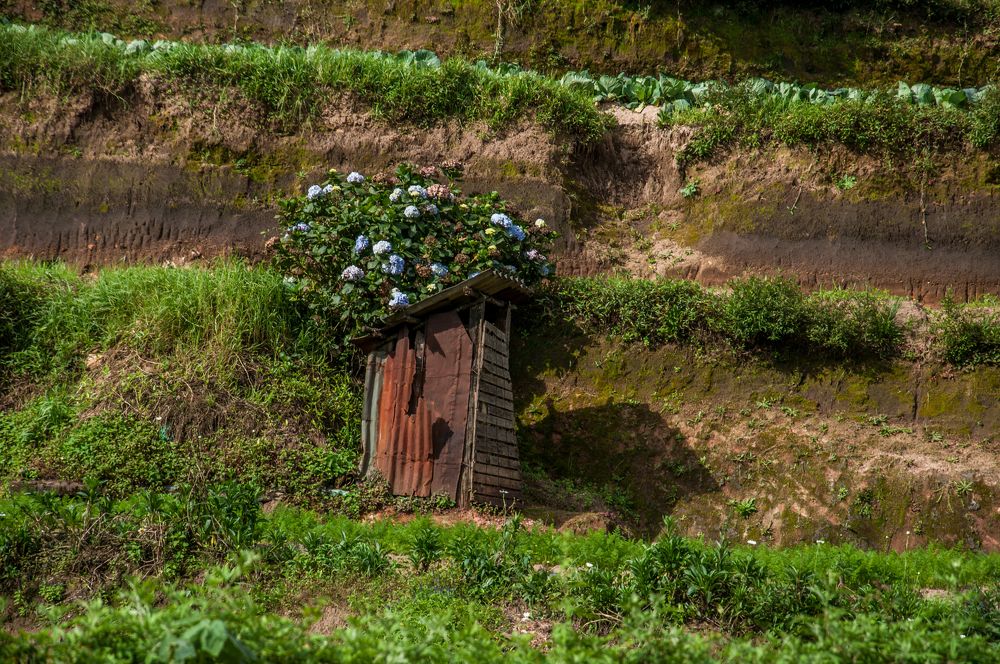 Photograph by Chamara Sulakkhana Polwatta Siriyalage