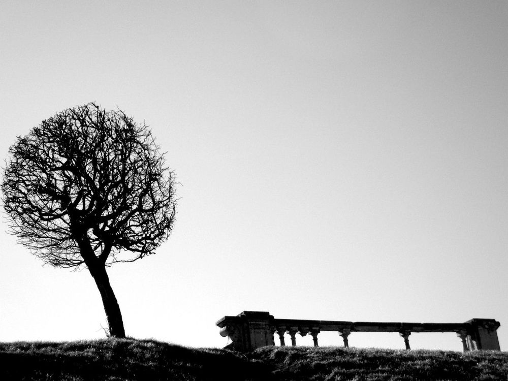 Photograph by Антон Лаба