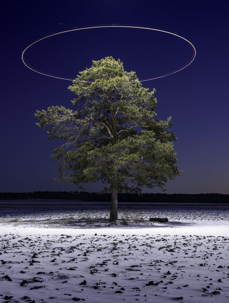 Фотография автора Igor Ferrum