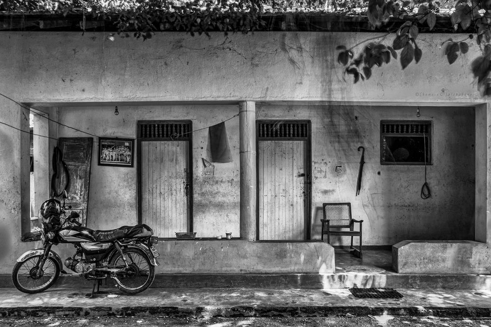 Photograph by Chamara Sulakkhana Polwatta Siriyalage