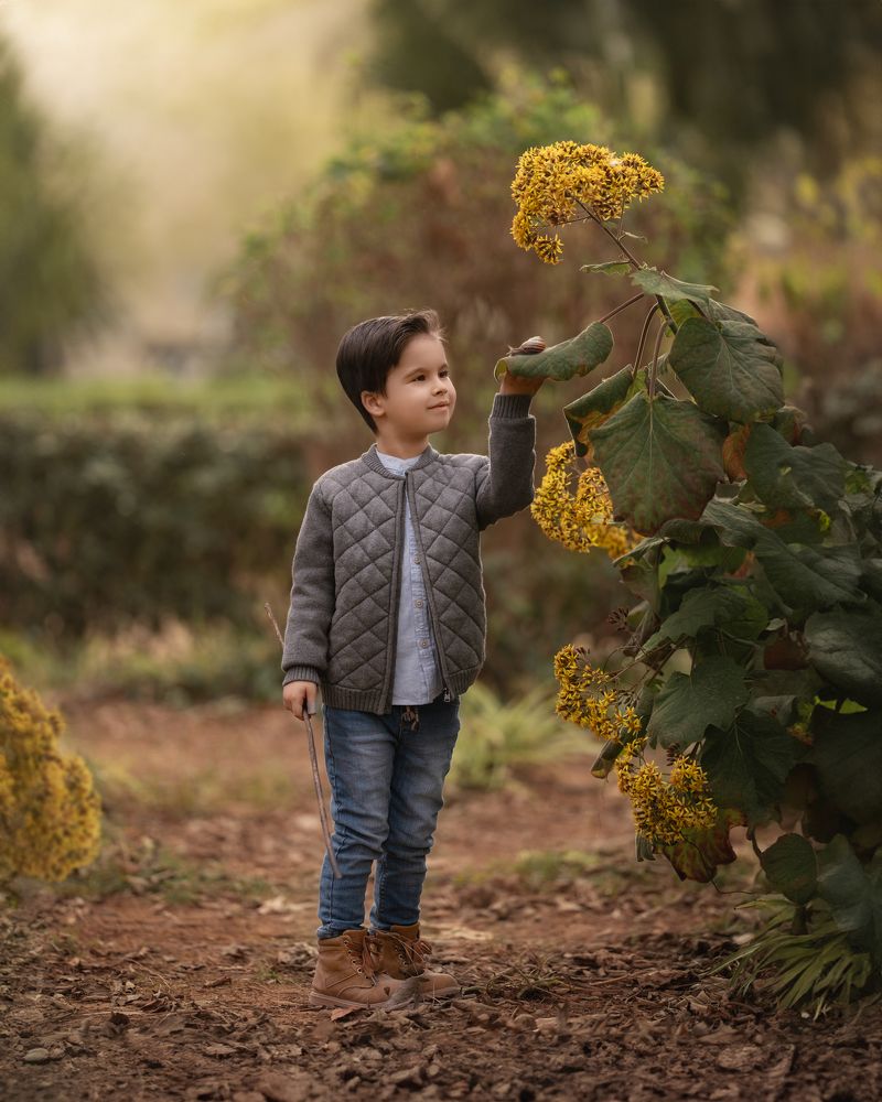 Фотография автора Alicia Bellido