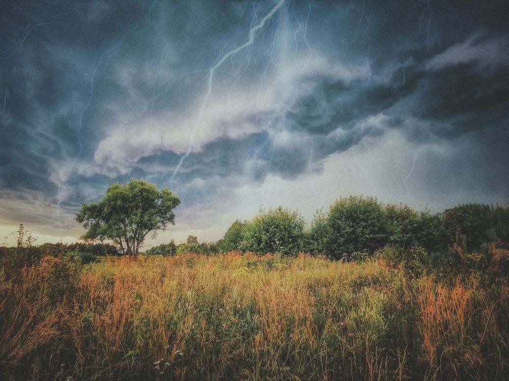 Photograph by Ekaterina Fadeeva