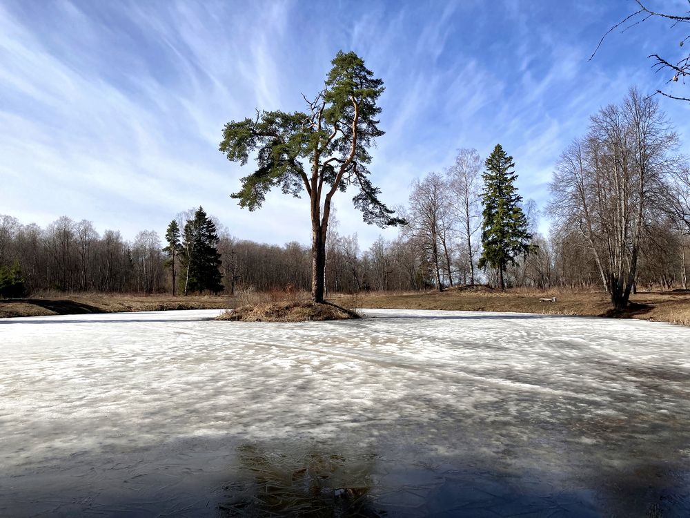 Раек. Верхний палатный пруд.