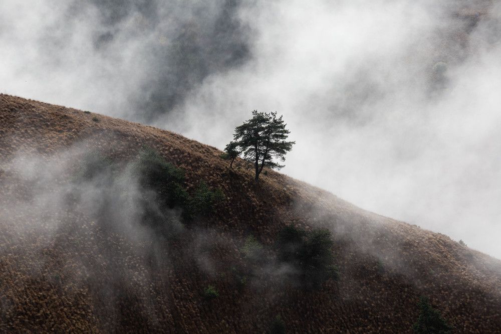 Фотография автора Ирина Гентош