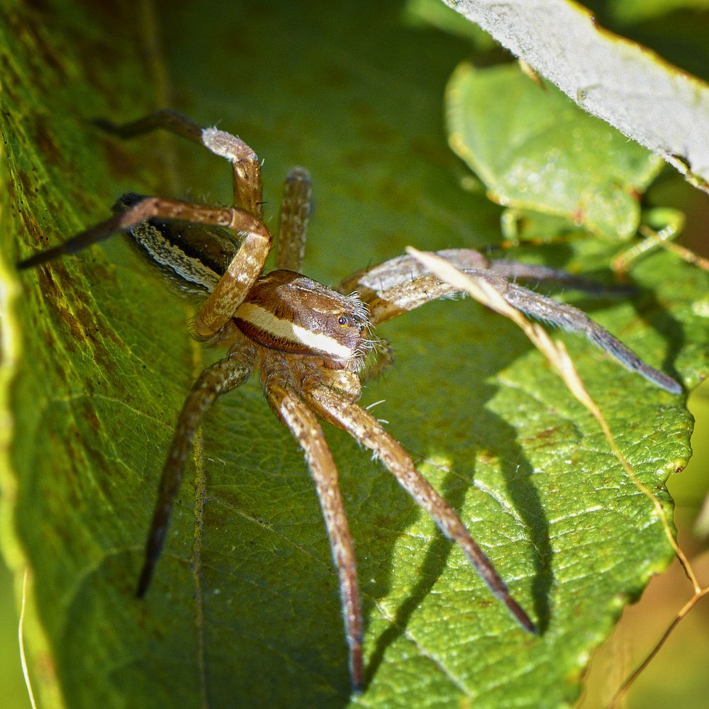 Photograph by Валерий