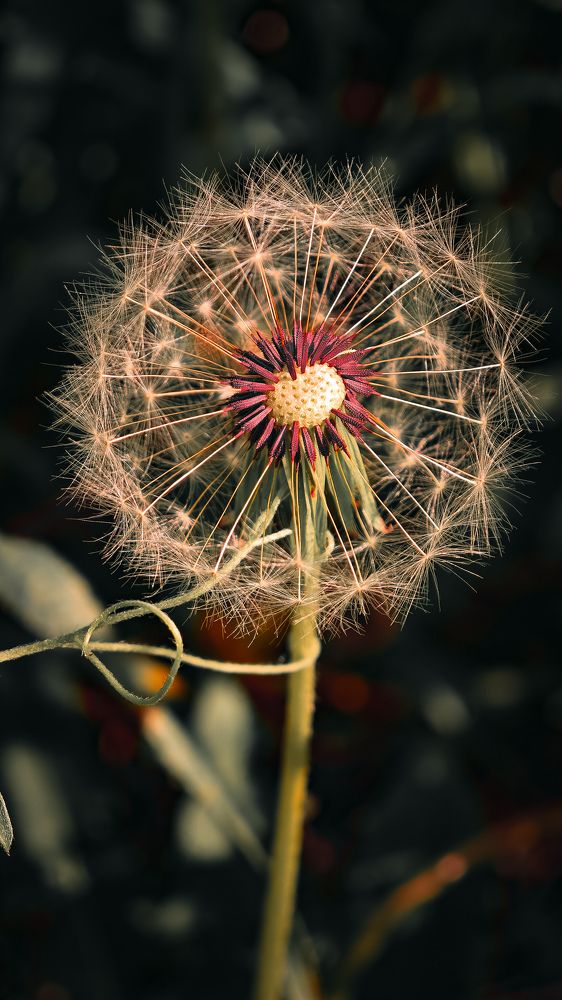 Фотография автора Иван Мисько