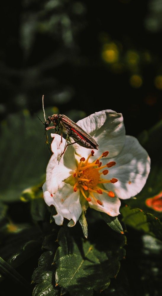 Фотография автора Иван Мисько