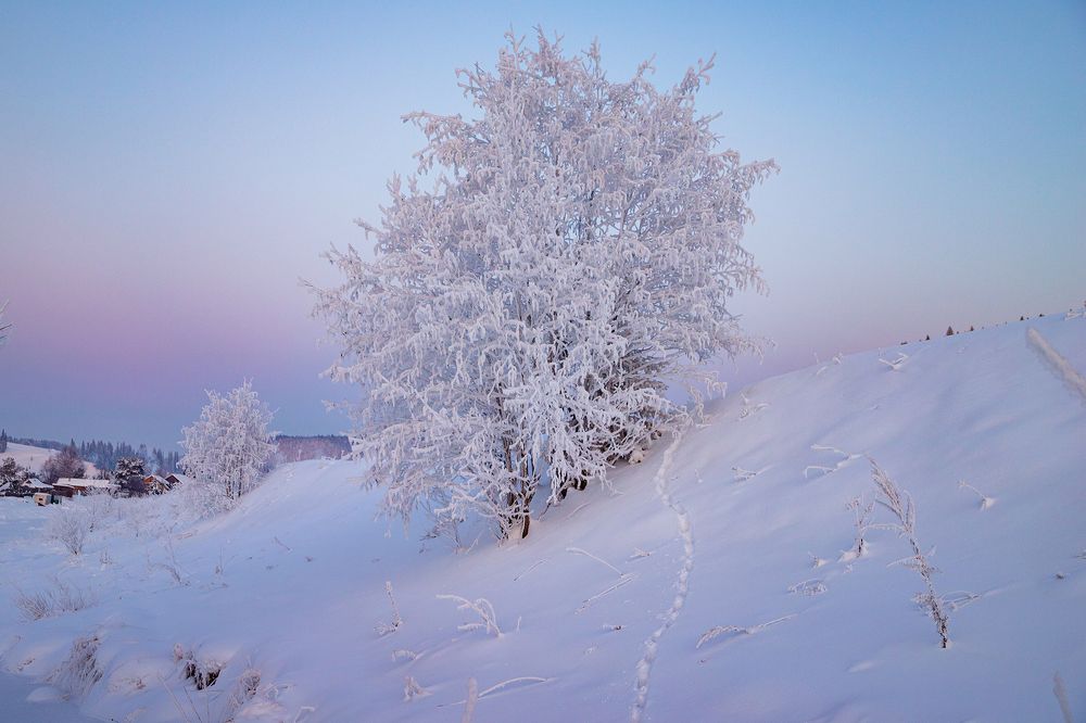 Photograph by Старцев Андрей