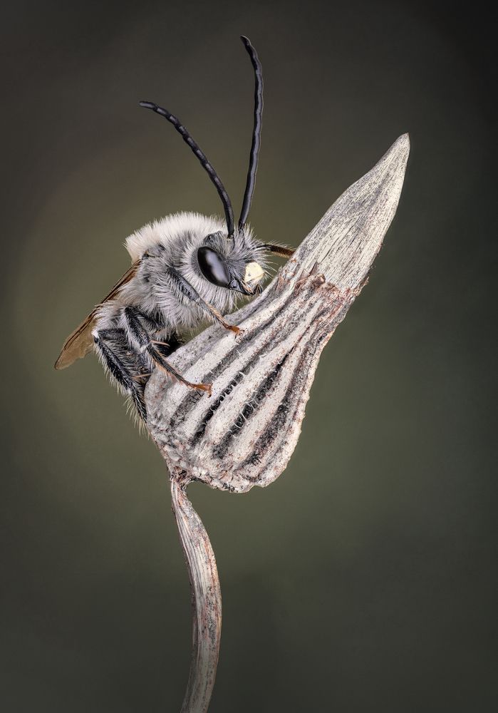 Photograph by Андрей Жила