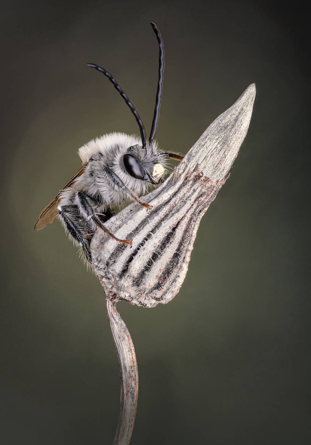 Фотография #10624058