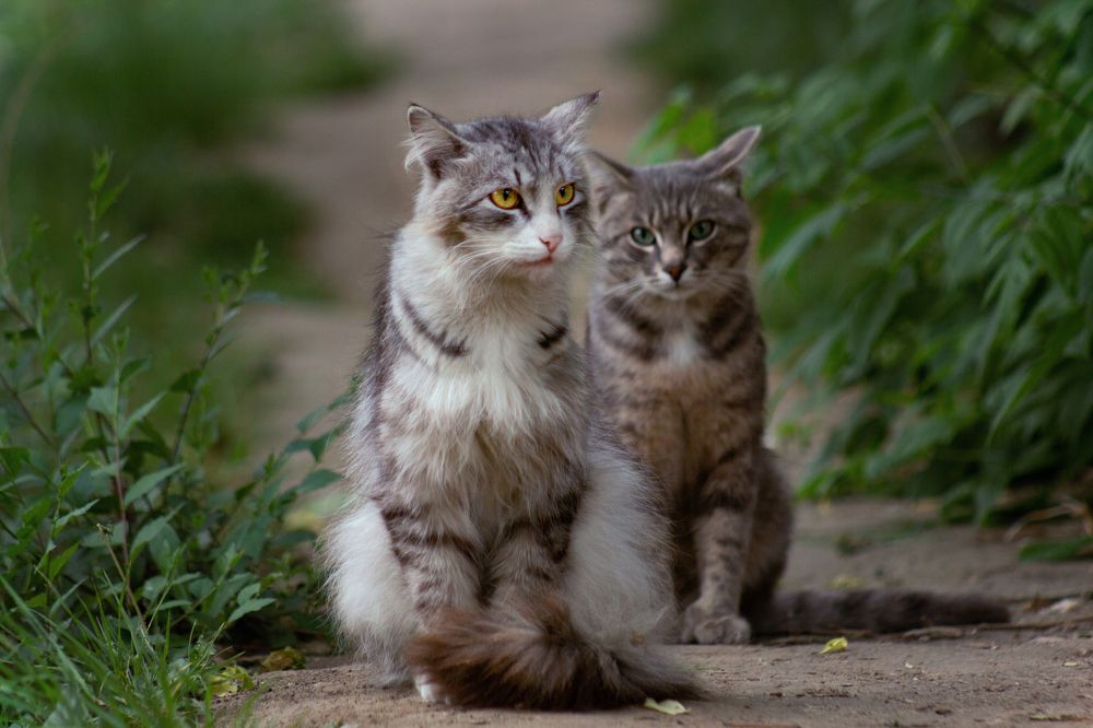 Photograph by Александр Канцур