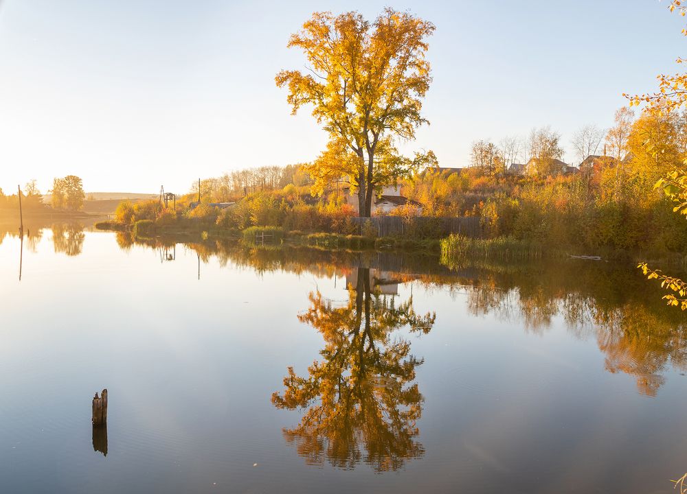 Photograph by Старцев Андрей