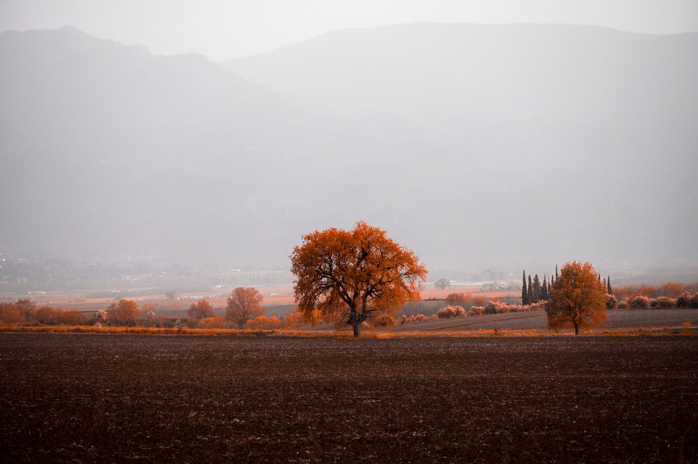 Photograph by CHRIS PAPAKIRITSIS