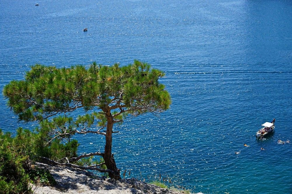 Photograph by Игорь Пшеничников