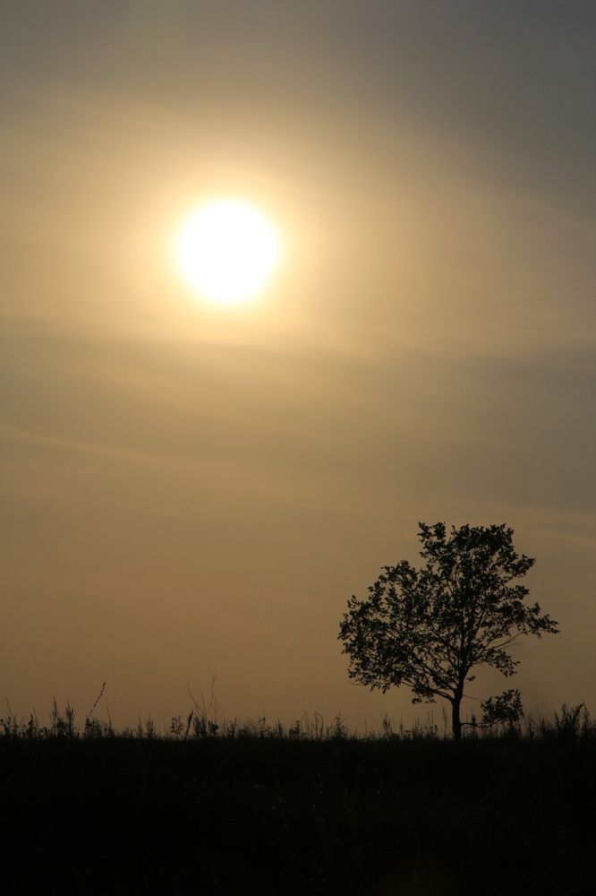 Photograph by Александр Малютин