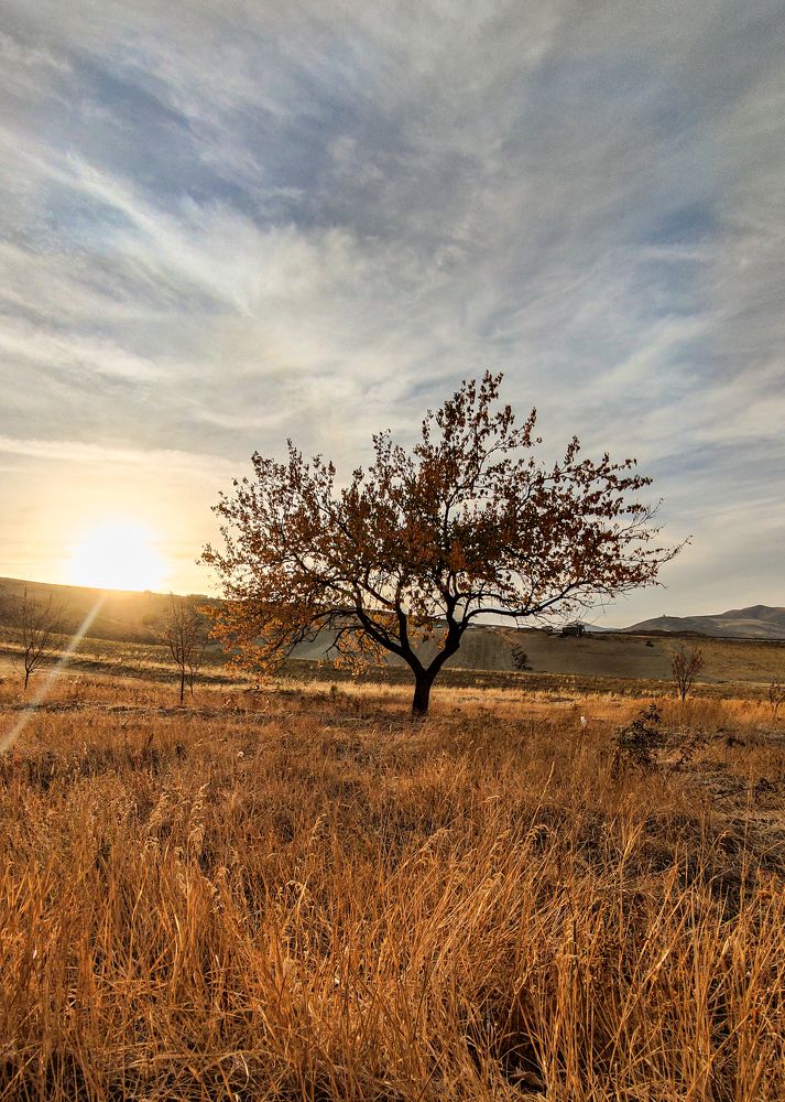 Photograph by Yasin Rezapour