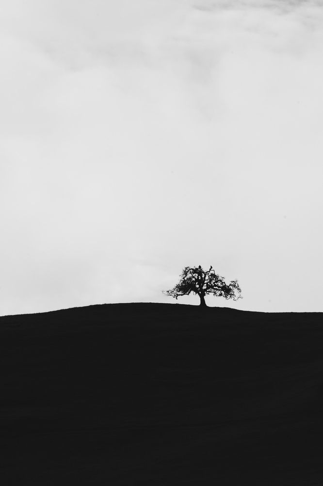 Photograph by Ekaterina Erofeeva